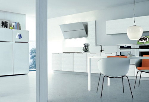 contemporary simple kitchen style with a minimum clutter